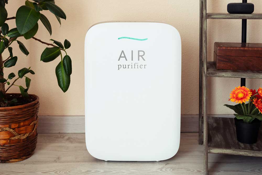Modern air purifier placed on a floor between houseplants
